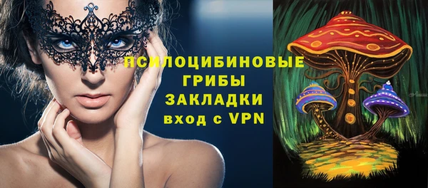 спиды Белокуриха