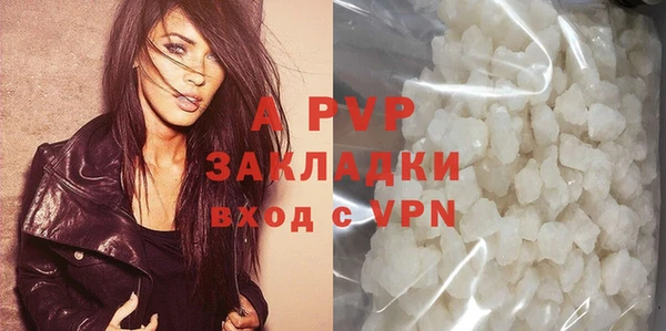 спиды Белокуриха