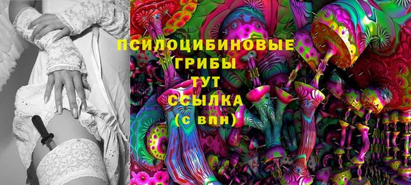 спиды Белокуриха